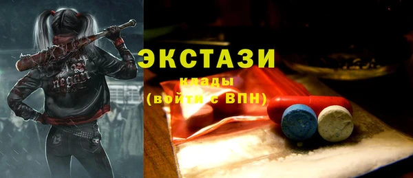 ешки Снежногорск