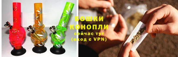 PSILOCYBIN Слюдянка