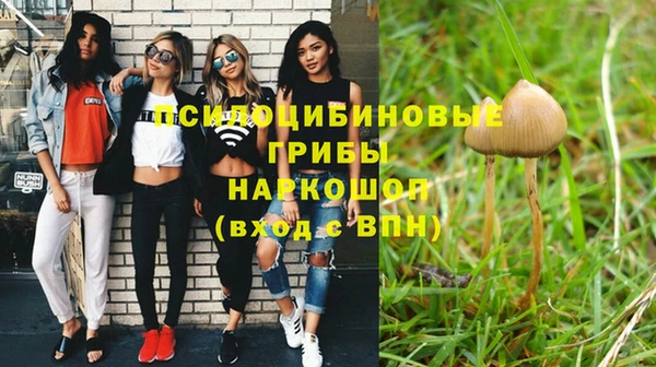 PSILOCYBIN Слюдянка